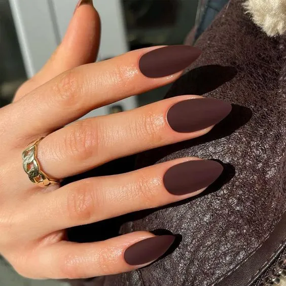 9+ Stunning Brown Nail Designs That Are Totally Trending Right Now!